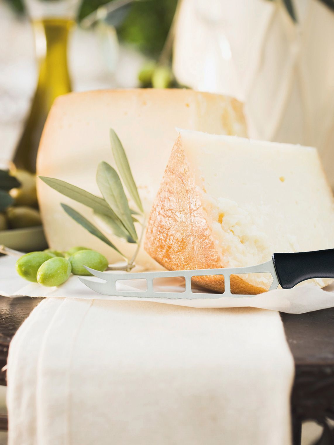 Triangle Cheese Knife Professional